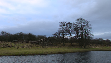 Amsterdamse Waterleidingduinen, Netherlands