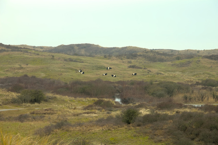 Ganzenhoek, Wassenaar, Netherlands