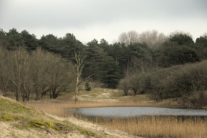 Ganzenhoek, Wassenaar, Netherlands