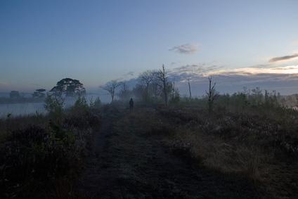 Dwingelderveld, Netherlands