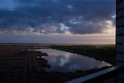 Fochteloër Veen, Netherlands