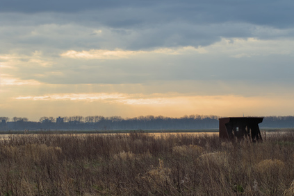 Nieuwe Driemanspolder, Netherlands