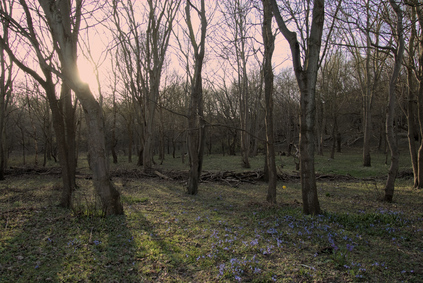 Westduinpark, Den Haag, Netherlands