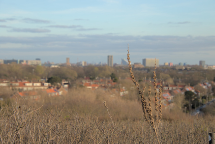 Westduinpark, Den Haag, Netherlands