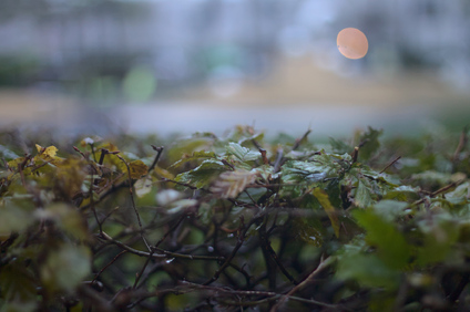 Den Haag, Netherlands