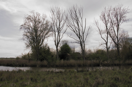 Tiengemeten, Netherlands