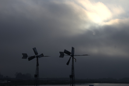 Biesbosch, Netherlands