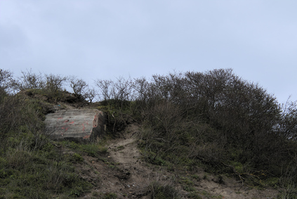 Westduinpark, Den Haag, Netherlands