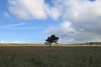 Solleveld, Den Haag, Netherlands