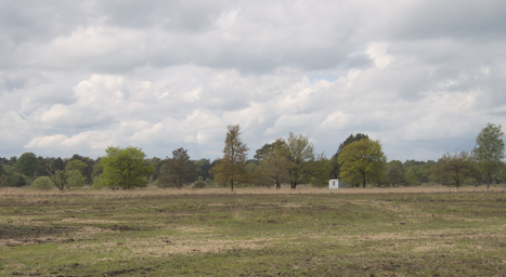 Kampina, Netherlands