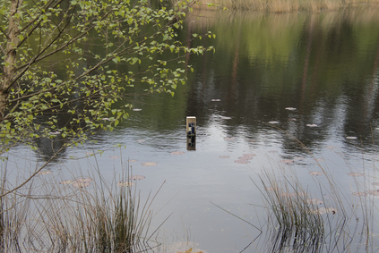 Kampina, Netherlands