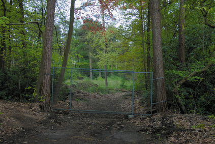 Oisterwijkse Bossen, Netherlands