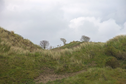 Meijendel, Wassenaar, Netherlands