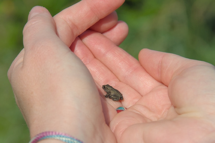 Kwade Hoek, Netherlands