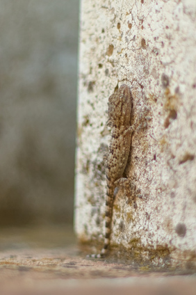 San Feliciano, Umbria, Italy