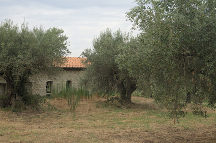 Isola Polvese, Lago Trasimeno, Umbria, Italy