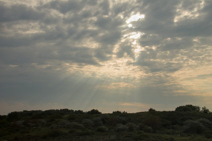 Westduinpark, Den Haag, Netherlands