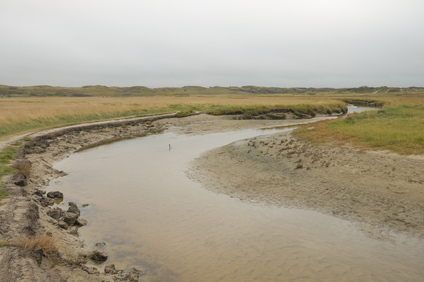 Slufter, Texel, Netherlands
