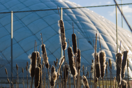 Segbroek, Den Haag, Netherlands