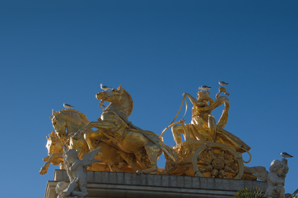 Yellow-legged Gull, Parc de la Ciutadella, Barcelona, Spain