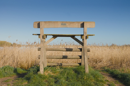 Groene Jonker, Netherlands