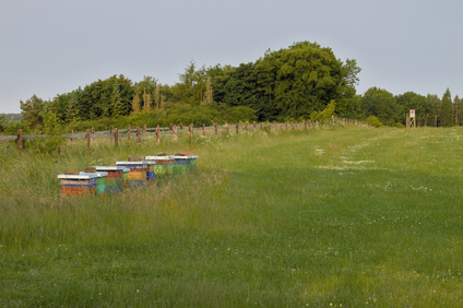 Nettersheim, Germany