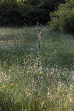 Nettersheim, Germany