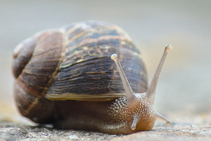 Den Haag, Netherlands