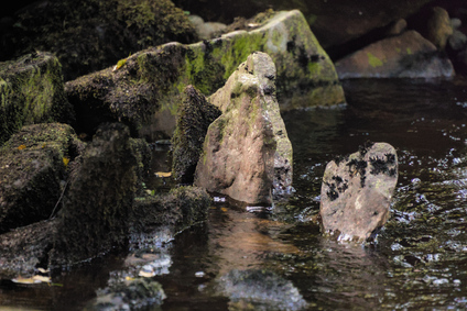 Conic Hill, Scotland