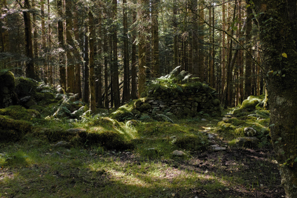 Loch Lomond, Scotland