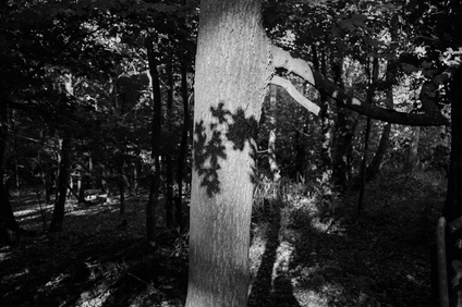 Westduinpark, Den Haag, Netherlands