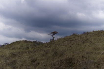Berkheide, Katwijk, Netherlands
