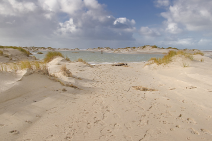 De Cocksdorp, Texel, Netherlands