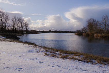 Amsterdamse Waterleidingduinen, Netherlands