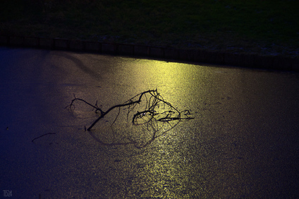 Den Haag, Netherlands