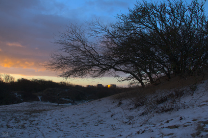 Westduinpark, Den Haag, Netherlands