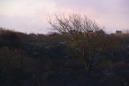 Westduinpark, Den Haag, Netherlands