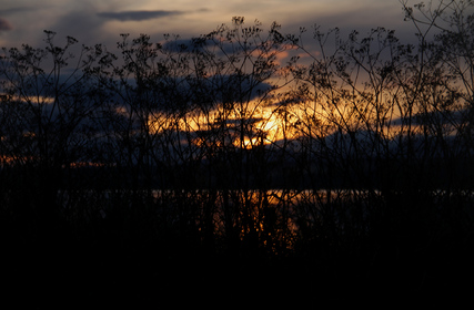 Beauly Firth, Scotland