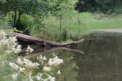 Fairy Glen, Scotland