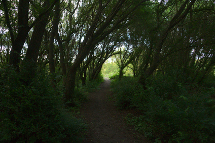 Westduinpark, Den Haag, Netherlands