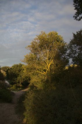 Westduinpark, Den Haag, Netherlands