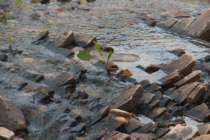 Achininver Beach, Scotland