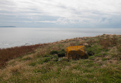Handa Island, Scotland